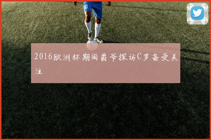 2016欧洲杯期间爵爷探访C罗备受关注