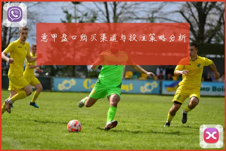 意甲盘口购买渠道与投注策略分析