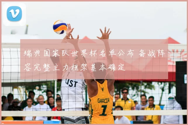 瑞典国家队世界杯名单公布 备战阵容完整主力框架基本确定