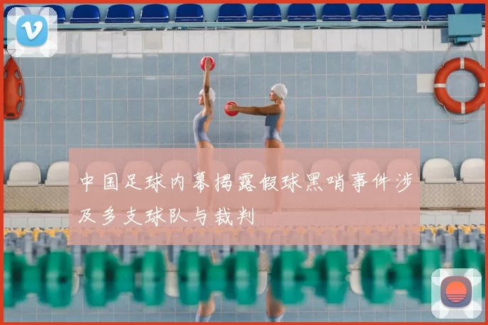 中国足球内幕揭露假球黑哨事件涉及多支球队与裁判