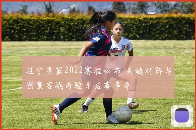 辽宁男篮2022赛程公布 关键对阵与密集客战考验季后赛争夺